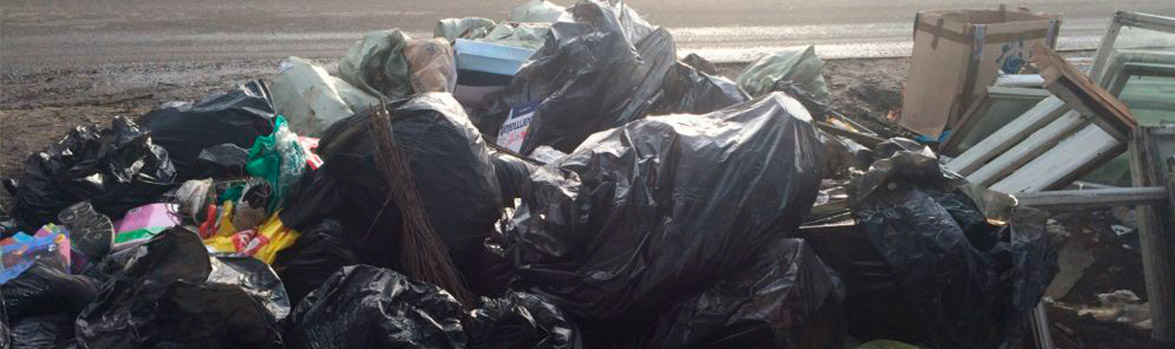 Москвичи начинают решительно бороться с залежами мусора