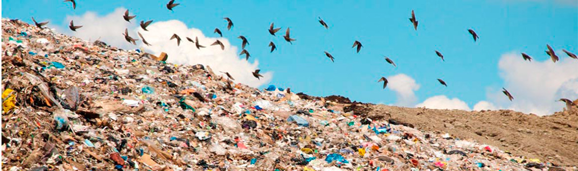 Проблему переработки отходов нужно решать прямо сейчас