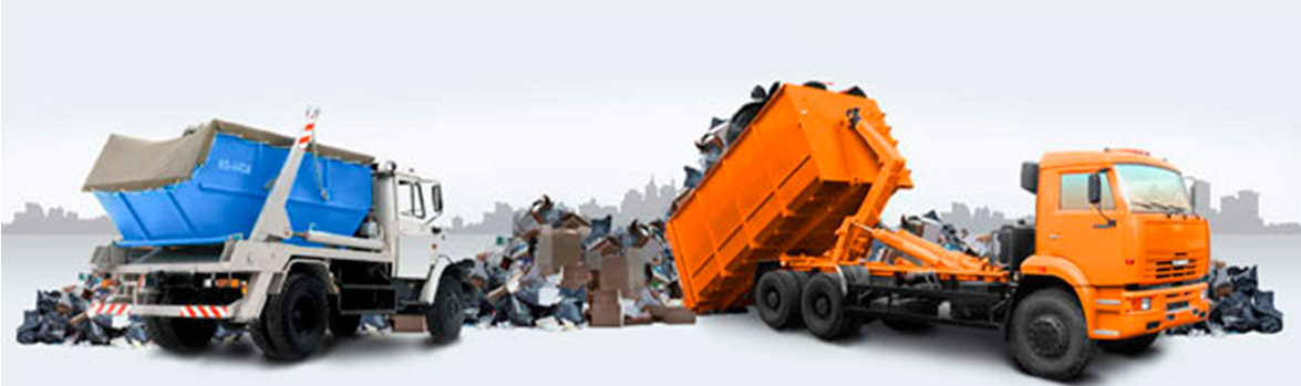 Утилизация отходов и вывоз тбо –  способ избежать появления грызунов
